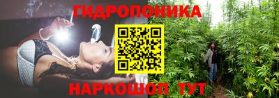 прущие крисы Коломна
